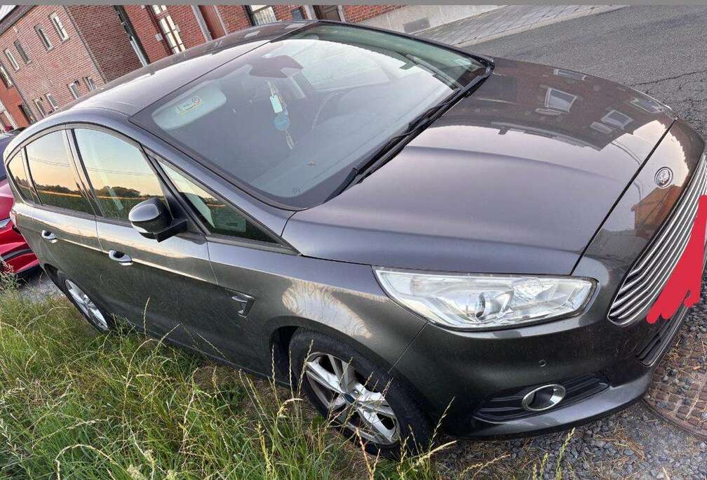 Ford S-Max 2.0 TDCi Business Class