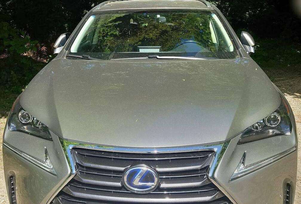Lexus 2.5 CDTi L1H1 Hayon/Arklep