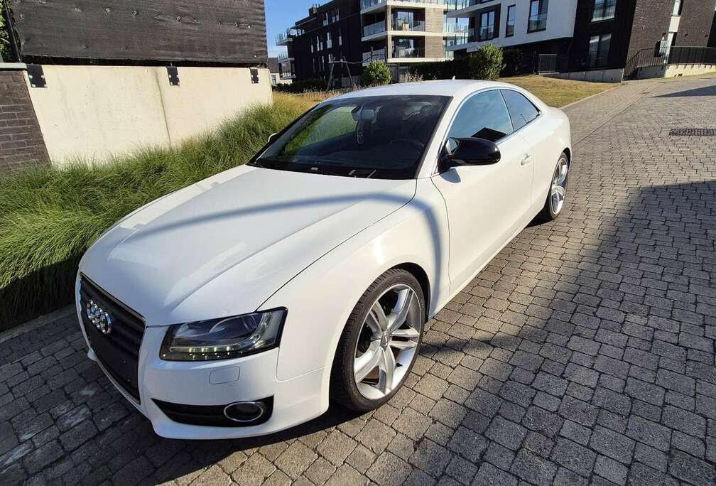 Audi coupe
