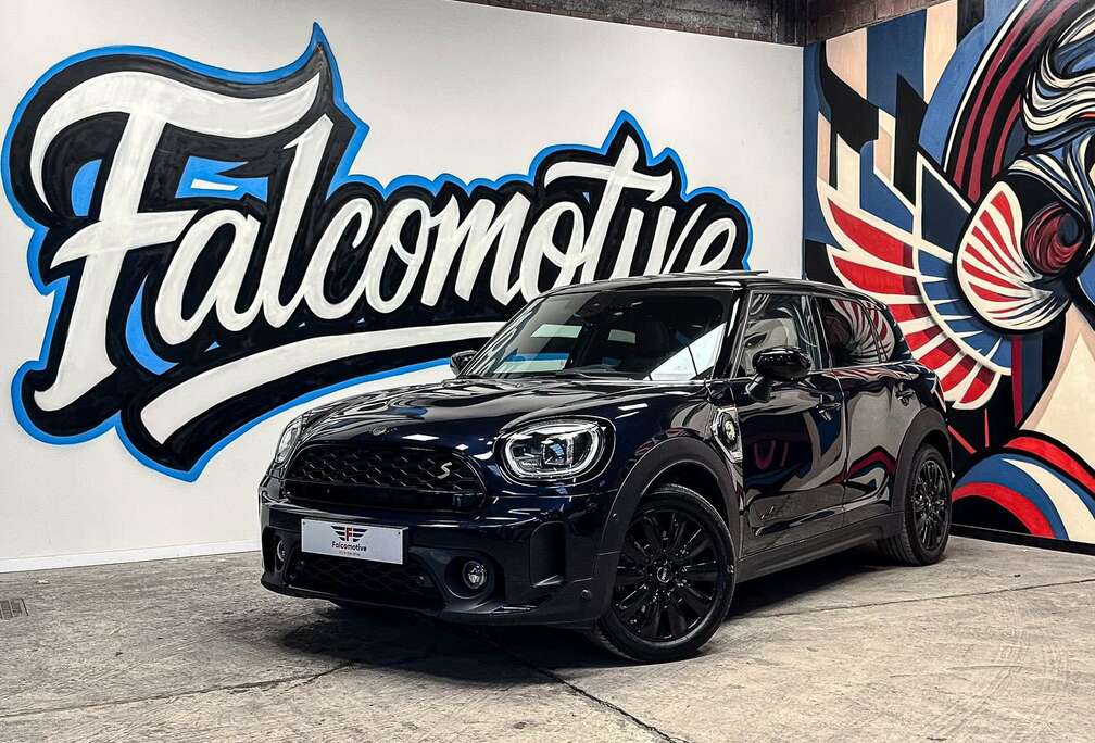 MINI SE*PHEV*ALL4*H/K*PANO*