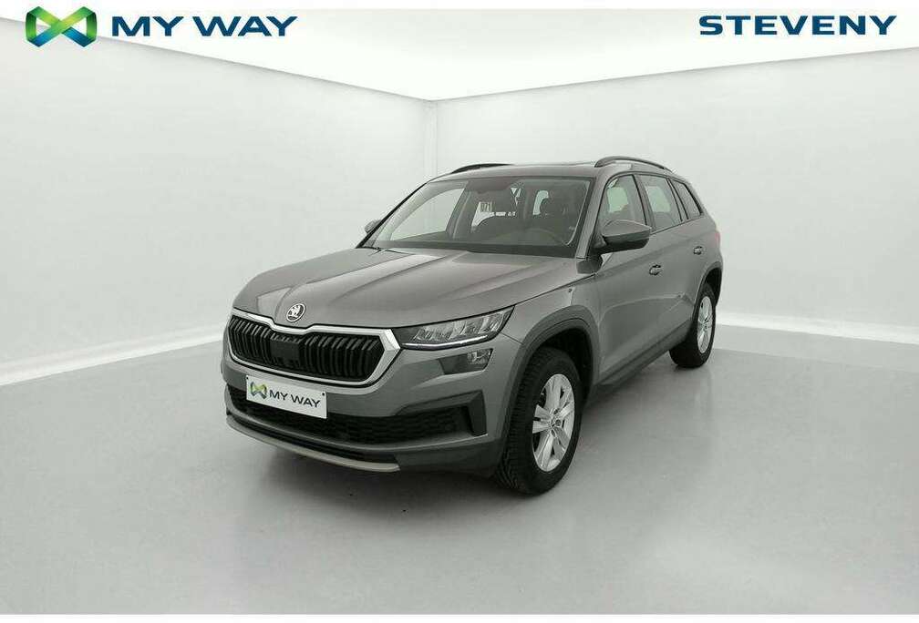 Skoda Ambition 2.0TDI 110kW(150cv) DSG 7pl.