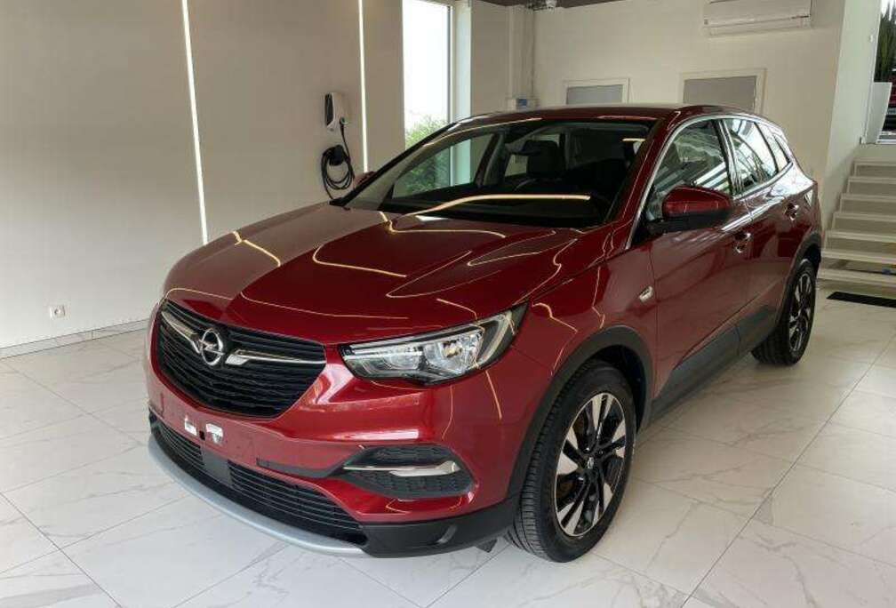 Opel X