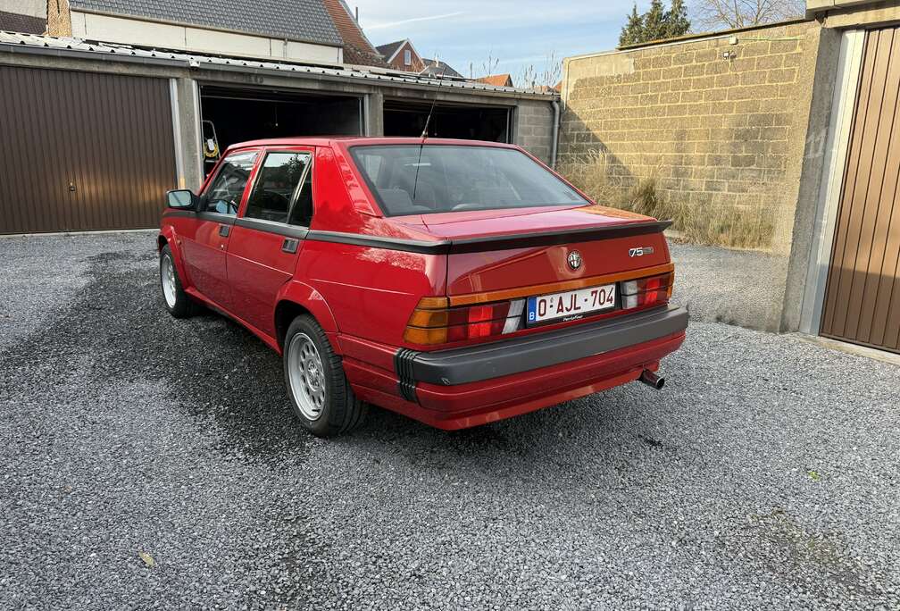 Alfa Romeo 3.0 V6 America