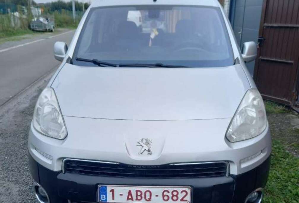 Peugeot Tepee 1.6 HDi Access