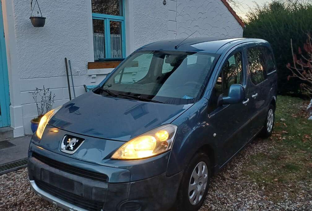 Peugeot Tepee 1.6 HDi Premium