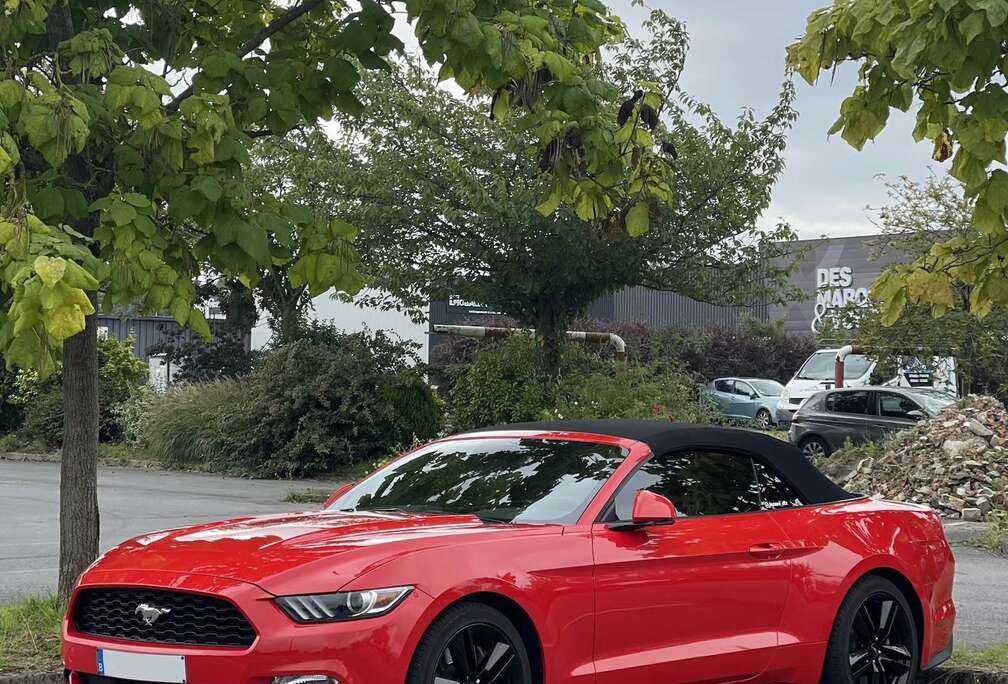 Ford Convertible 2.3 EcoBoost