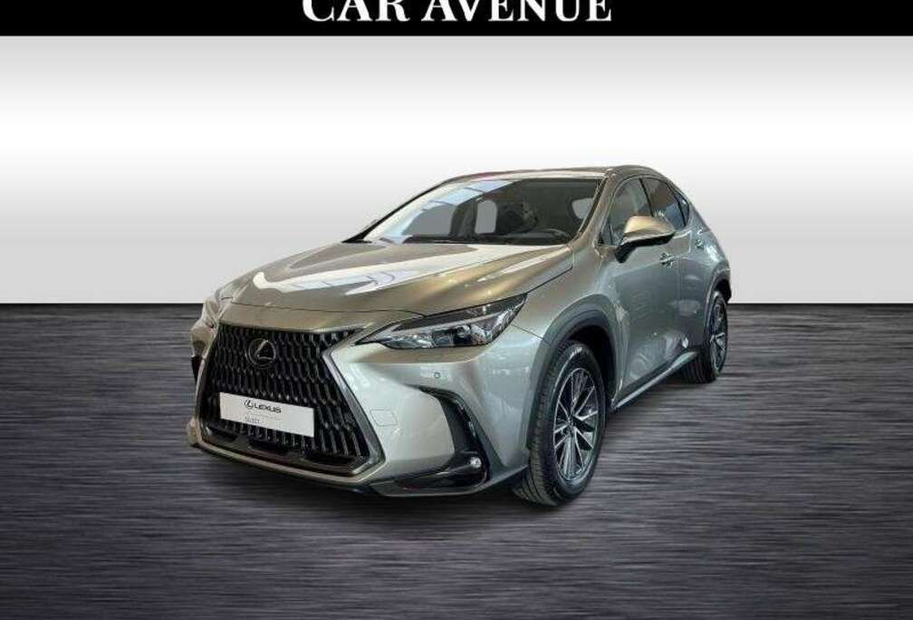 Lexus Executive Line