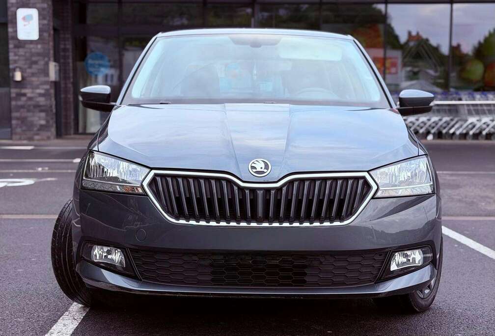 Skoda Fabia 1.0 TSI Style