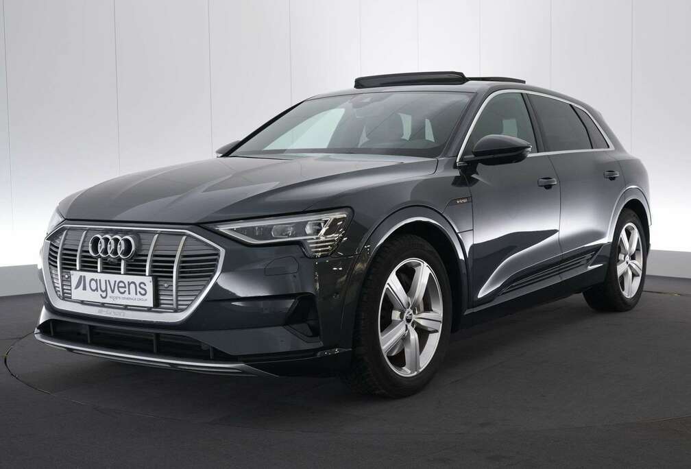 Audi 95 kWh 55 Quattro Advanced LEDER/CUIR LED GPS PDC