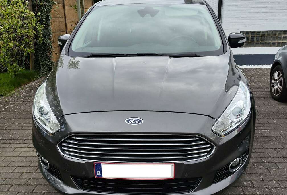 Ford S-Max 2.0 TDCi Business