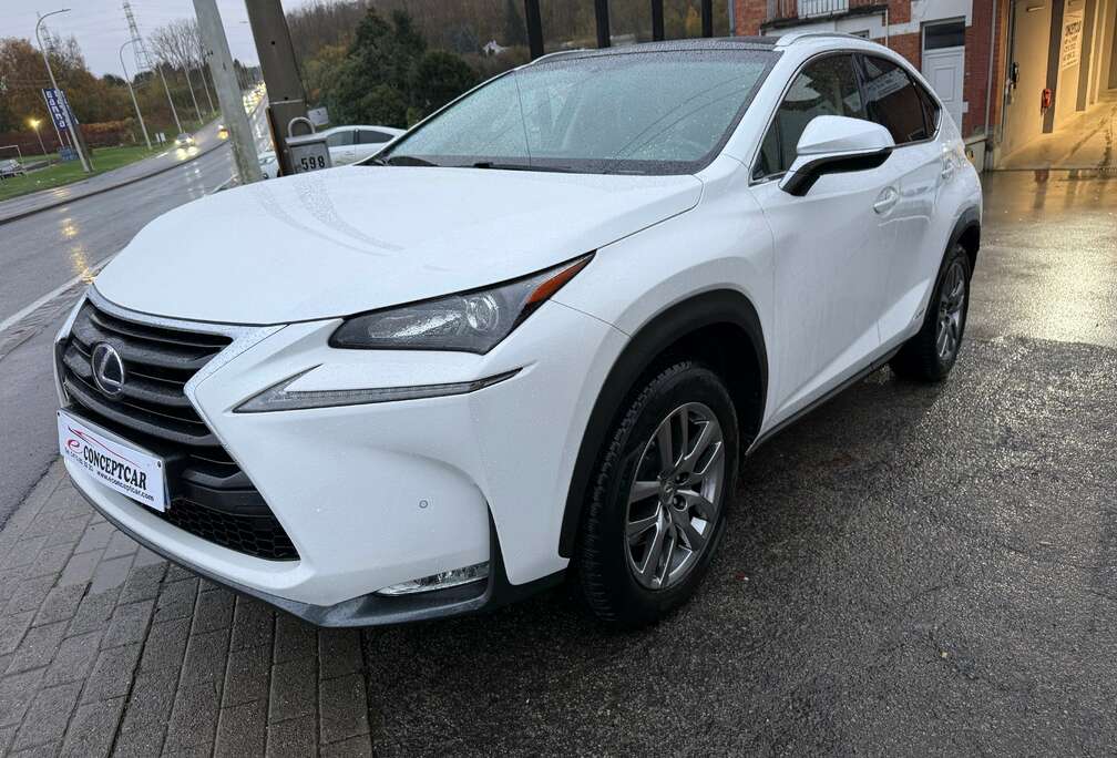 Lexus NX 300h 2.5i AWD Dynamic Line E-CVT