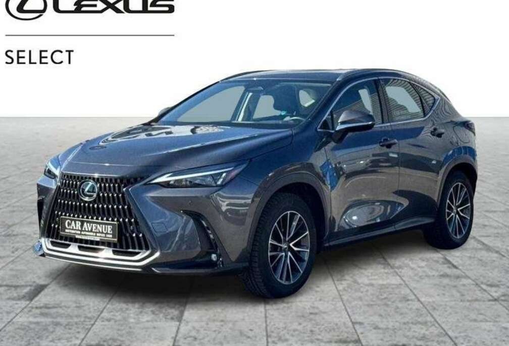 Lexus Business Line