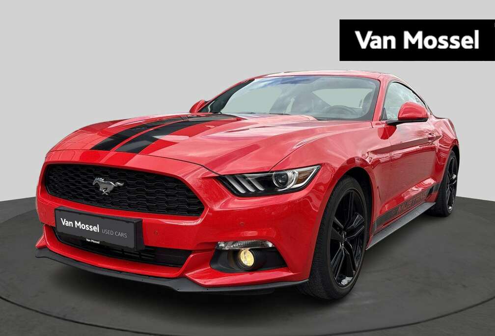 Ford 2.3i EcoBoost Blue Edition  Lage KM-stand