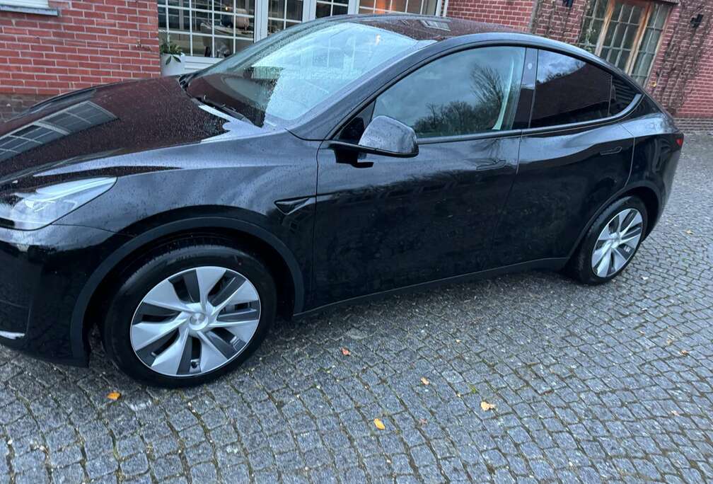 Tesla tesla model y recente wagen ongevalvrij