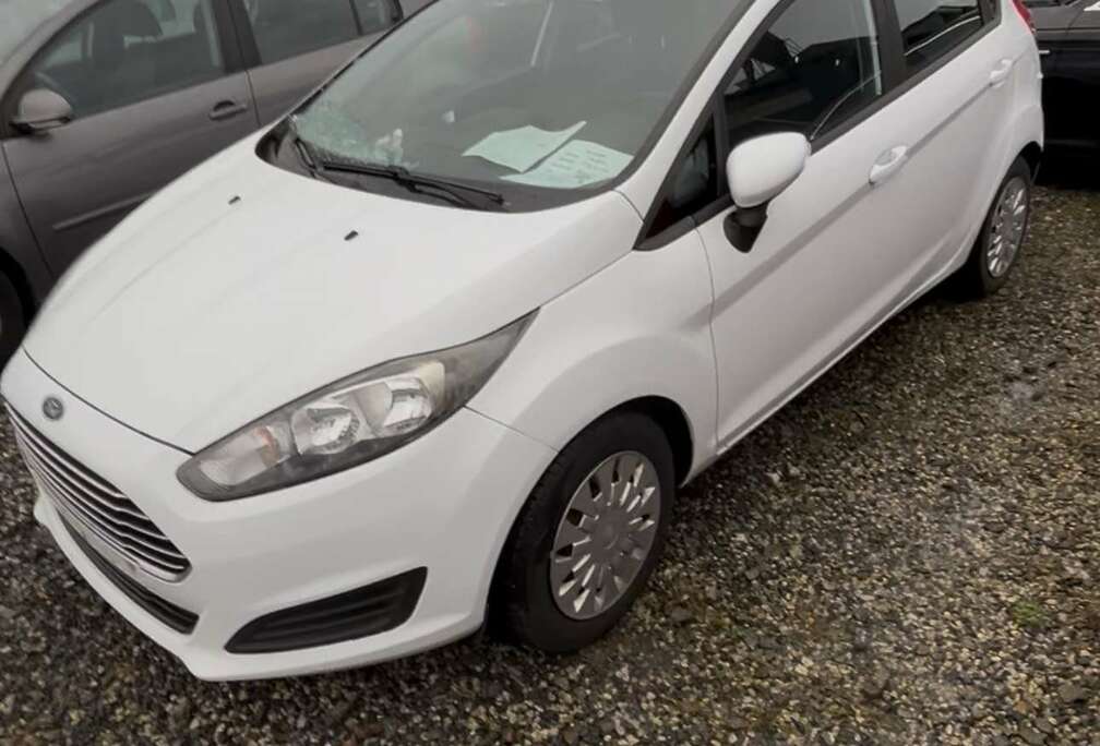 Ford 1.6 TDCi Econetic DPF