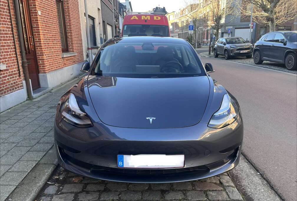 Tesla Standard Model Plus