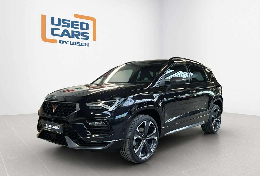 DSG+Dinamica+P.DriveXL+RearView