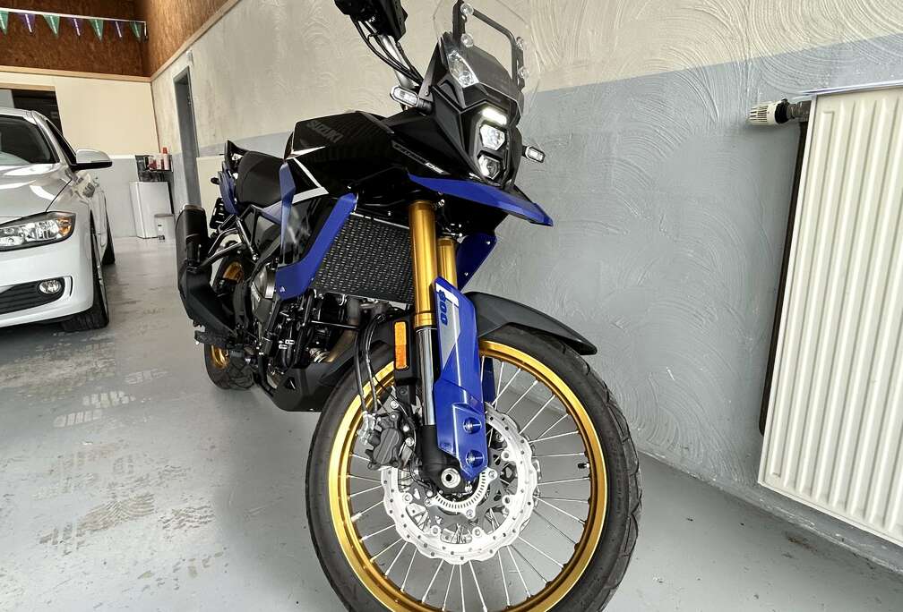 Suzuki DL800 WEMO