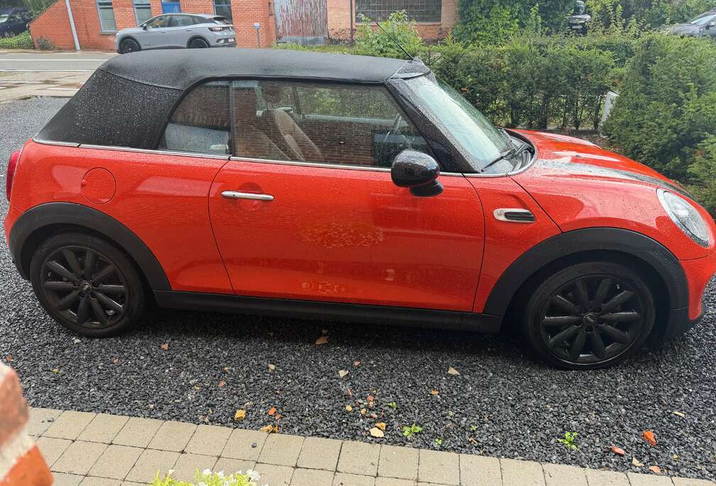 MINI Mini Cabriolet 1.5A Cooper OPF (EU6d-TEMP)