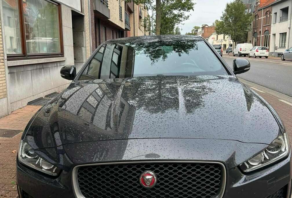 Jaguar XE E-Performance Aut. R-Sport