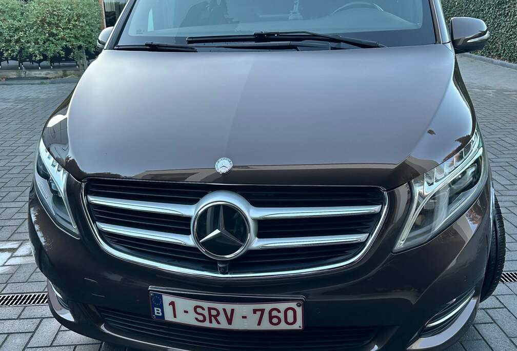Mercedes-Benz (BlueTEC) Lichte vracht   7G-avantgarde Edition