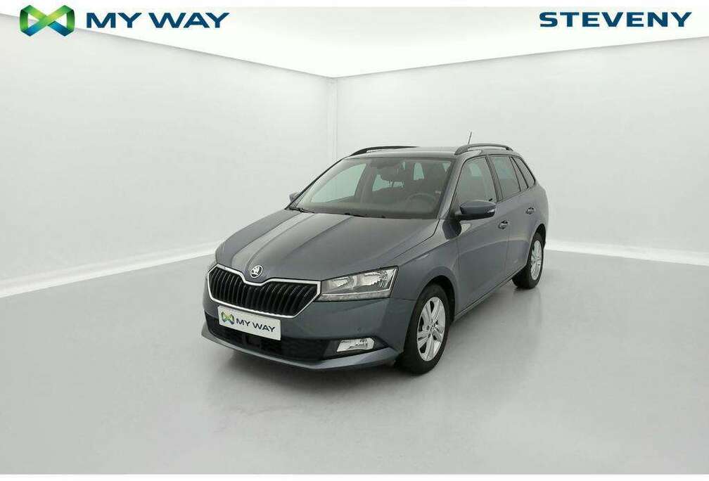 Skoda AMBITION 1.0 TSI 81kW (110ch) DSG7 * GSP * CAM REC