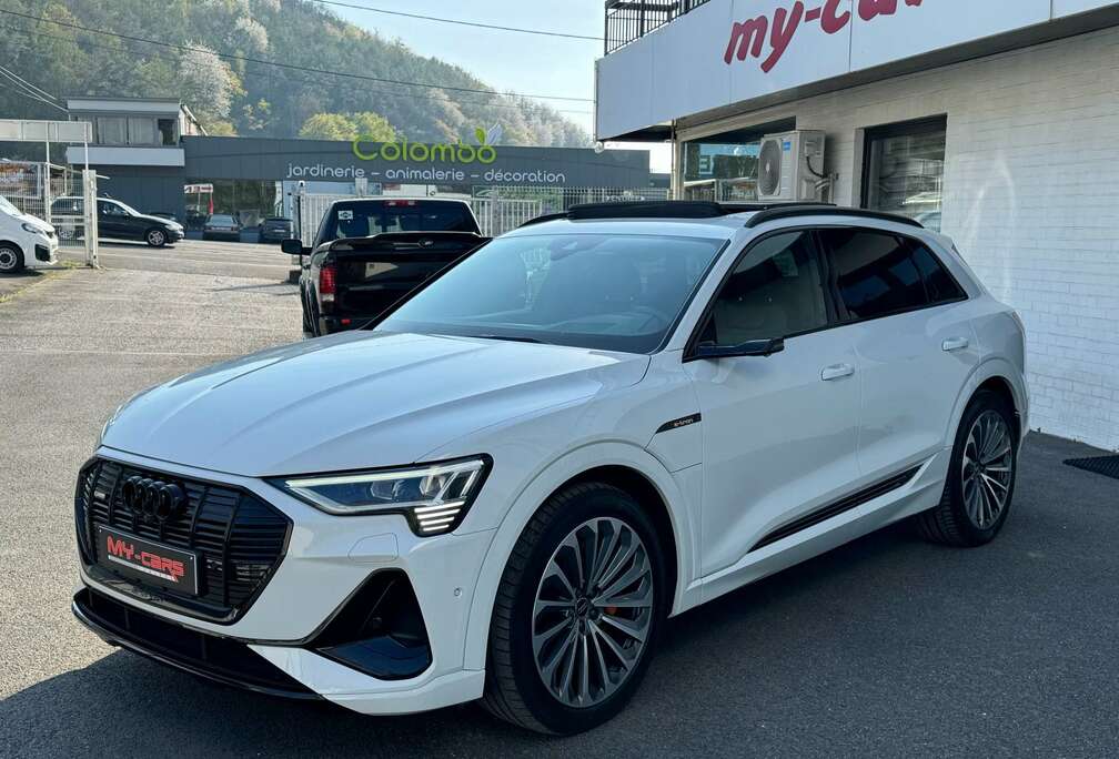 Audi E-TRON 55 ÉLECTRIQUE PANO GPS CUIR LED FULL