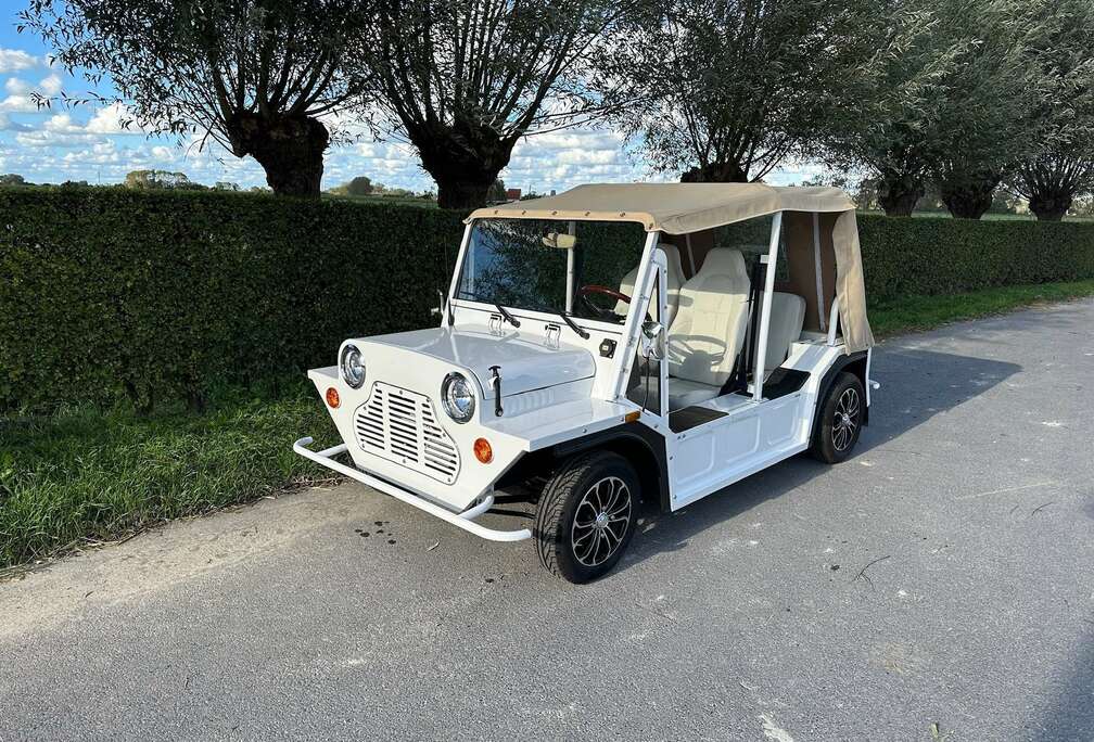 Austin 17900€ + VAT with new batteries