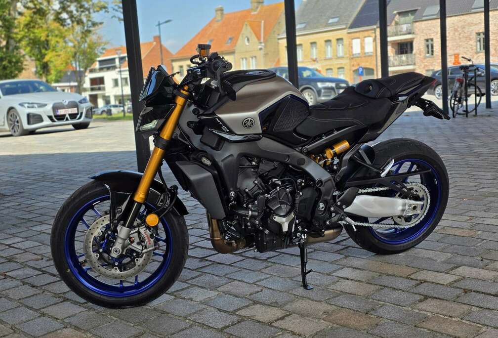 SP