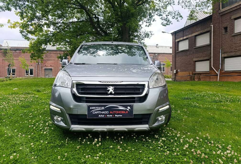 Peugeot Partner Tepee 1.6 BlueHDi Active S