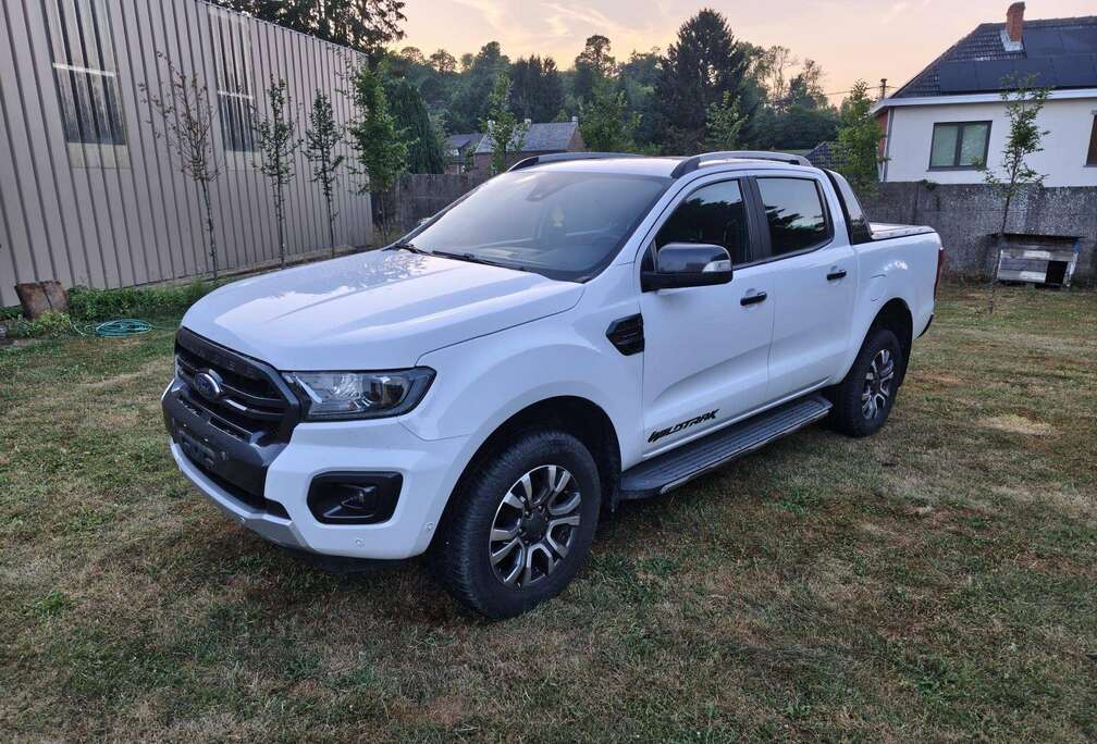 Ford 2.0 BiT EcoBlue Wildtrak (EU6.2)