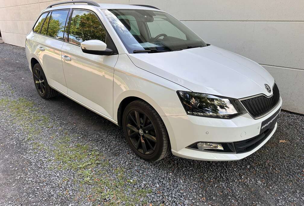 Skoda Fabia SW 1.2 TSI Style eerste eigenaar