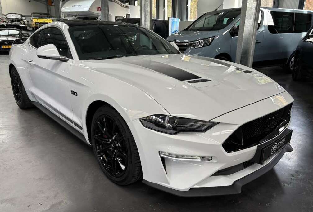 Ford 5.0 V8 FIFTY FIVE YEARS