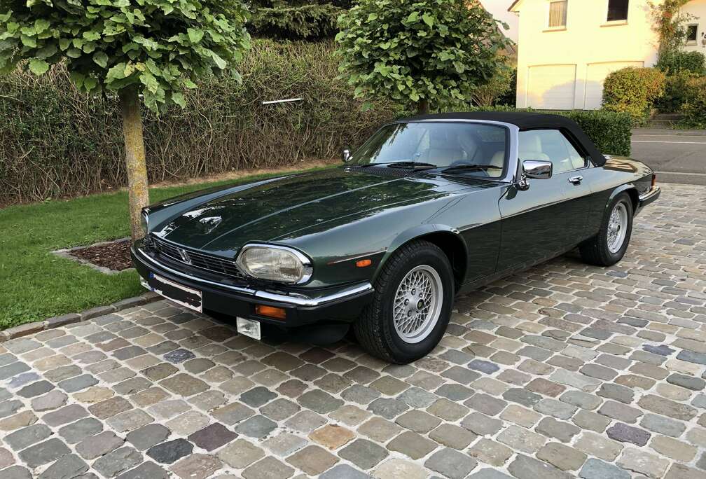 Jaguar