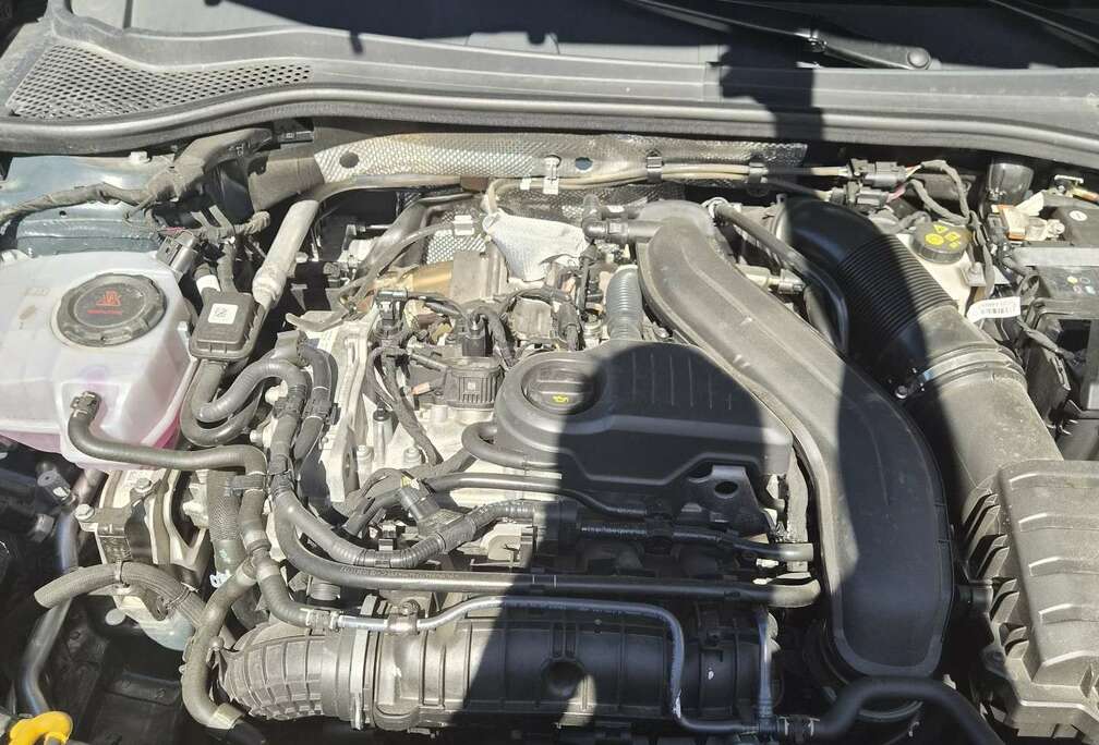 1.5 eTSI MHEV Business DSG