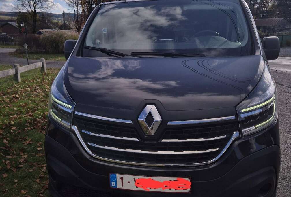 Renault 2.0 dCi 29 L1H1 Grand Confort