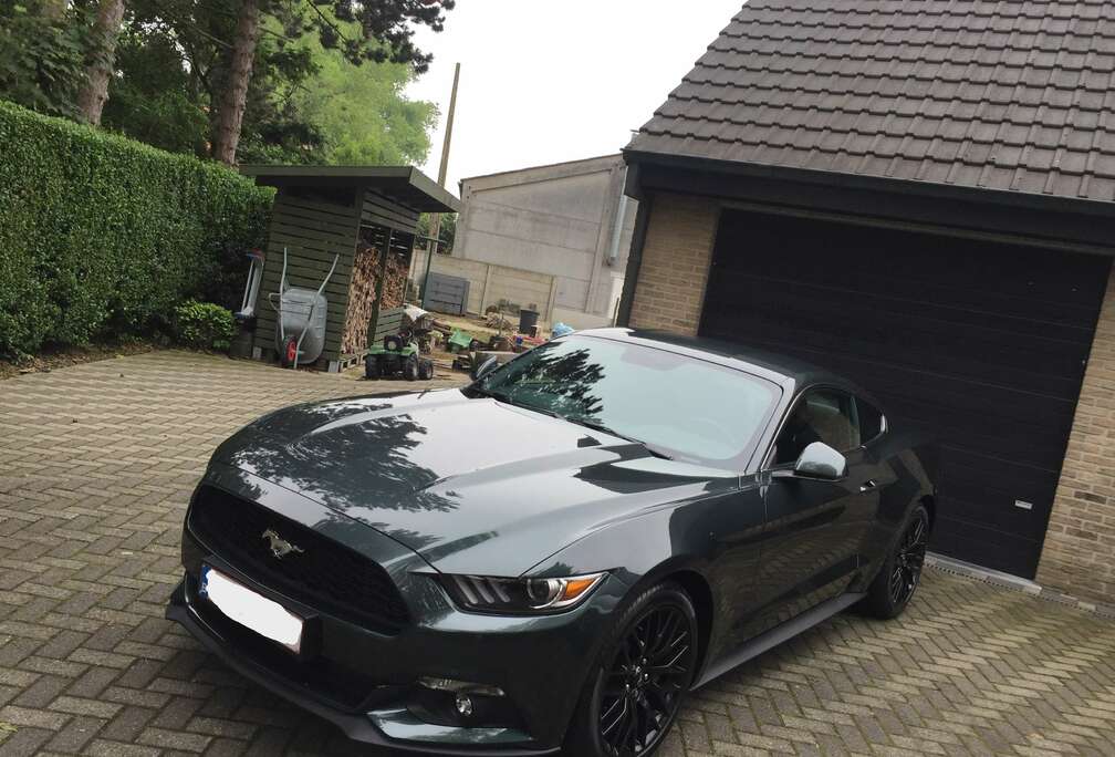Ford Mustang 2.3 EcoBoost