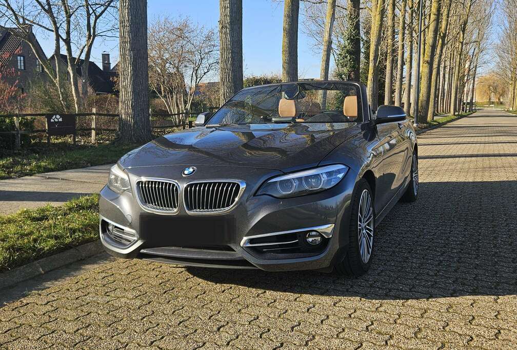 BMW Cabrio 218iA OPF Luxury Line