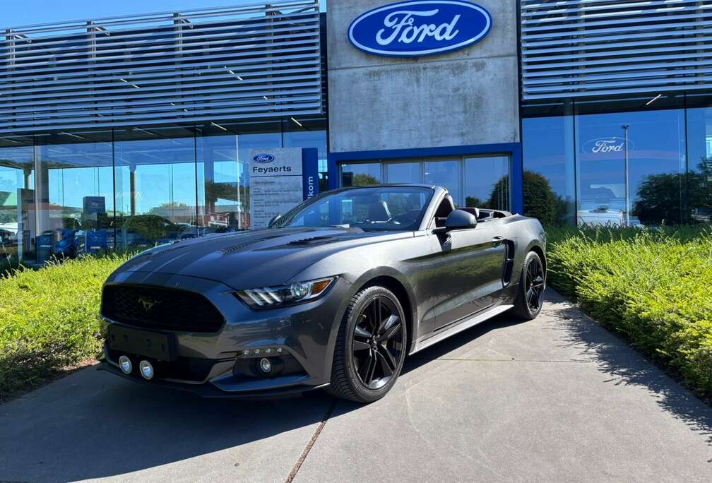Ford Cabrio 2.3 EcoBoost Automaat  Shaker  47.985 km