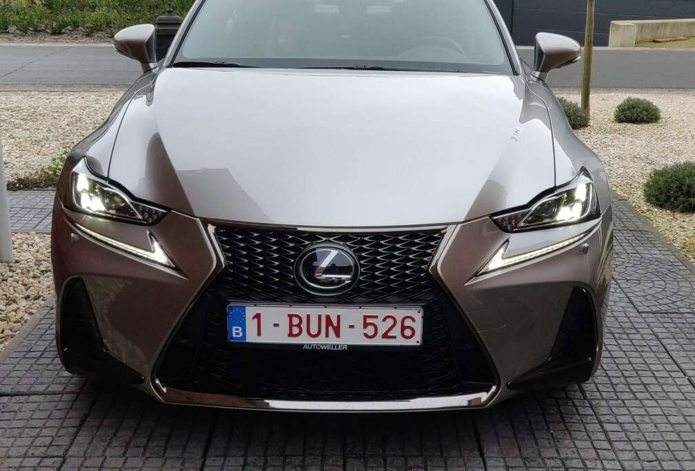 Lexus 300h 2.5i F Sport Line E-CVT (EU6.2)