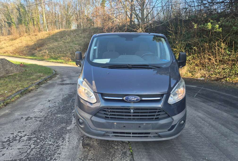 Ford 2.2 TDCi L2H1 Econetic