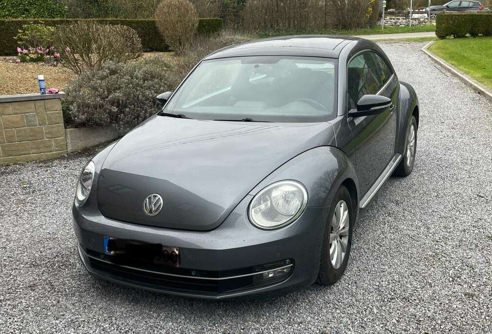 Volkswagen Beetle 1.6 CR TDi