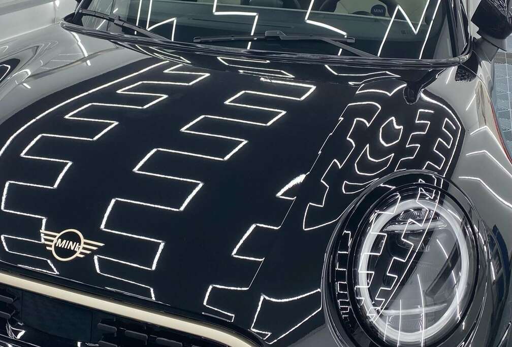 MINI Favoured Trim