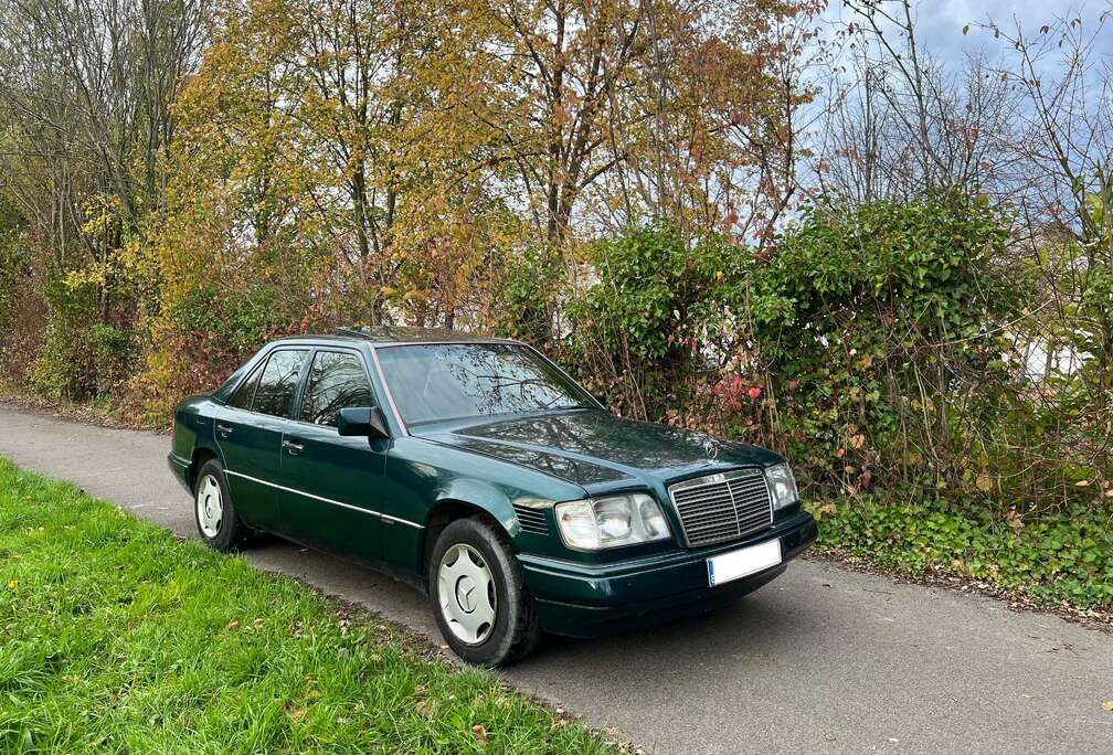 Mercedes-Benz E 250 D Multiklepper