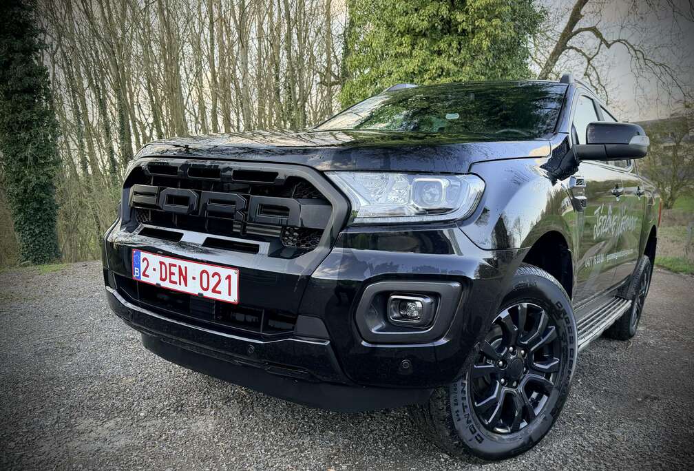 Ford 2.0 BiT EcoBlue Wildtrak (EU6.2)