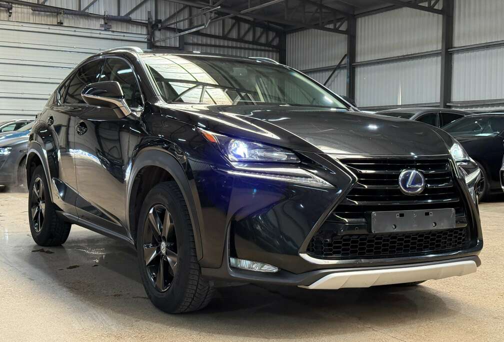 Lexus NX 300h 2.5i AWD Dynamic Line E-CVT