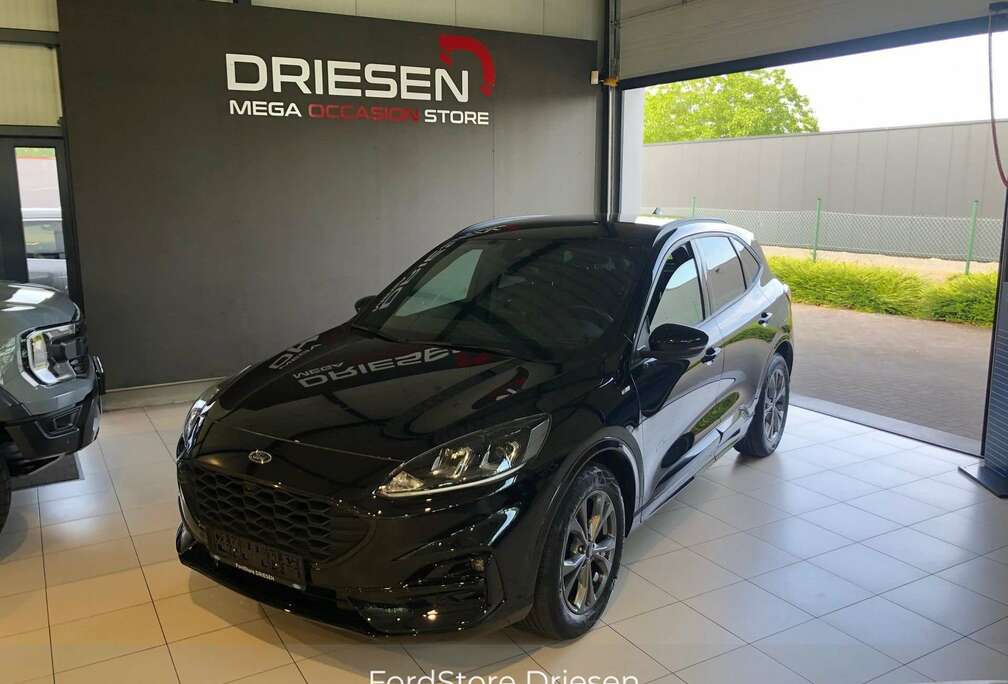 Ford St line 1.5i 150pk   BIJ DRIESEN IN BREE