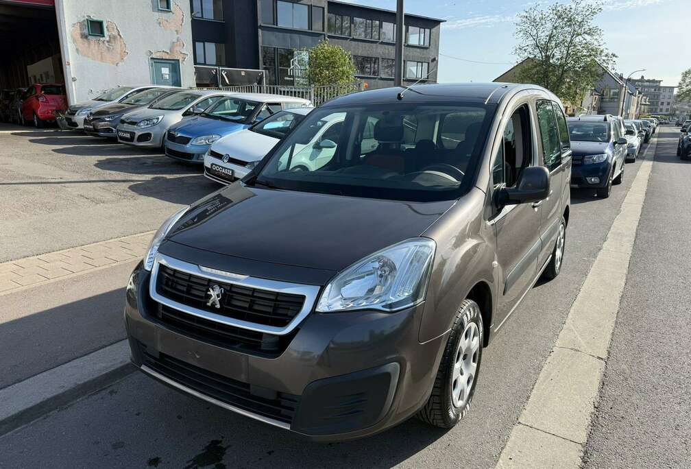 Peugeot Partner Tepee 1.6i Access
