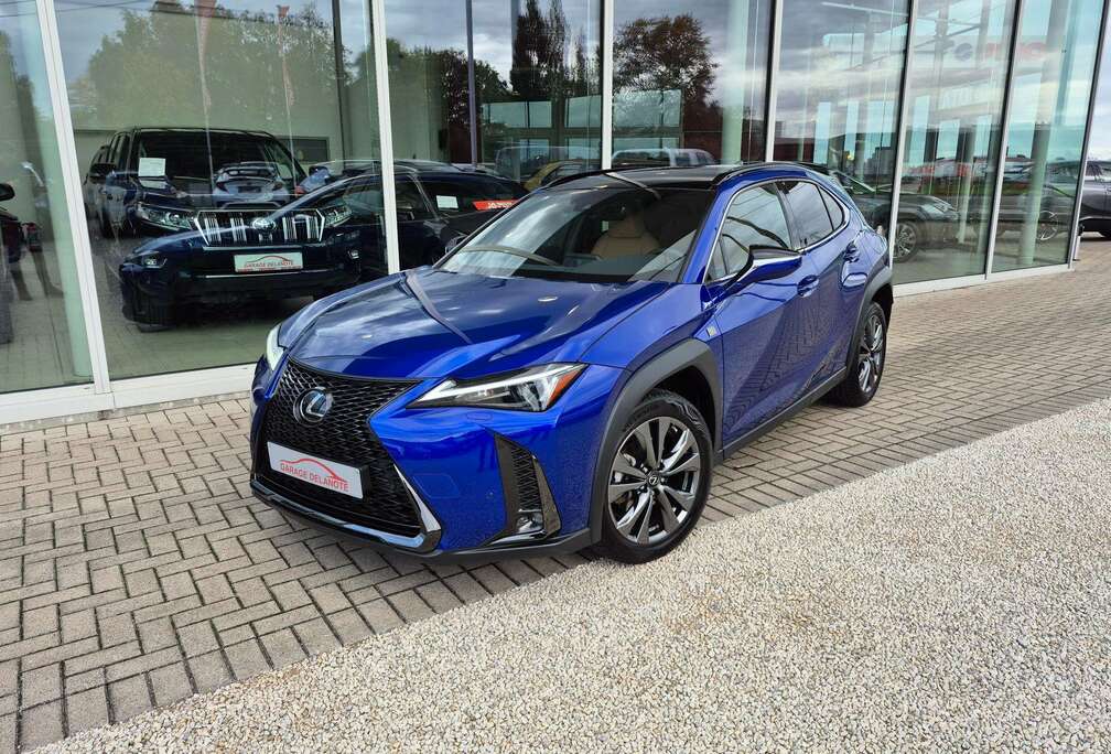 Lexus HYBRID F-Sport Design +Leder +Trekhaak +Dodehoek