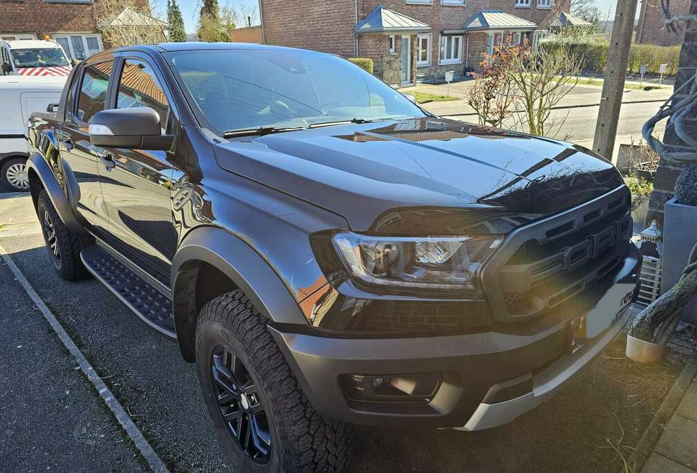 Ford 2.0 BiT EcoBlue Raptor (EU6.2)